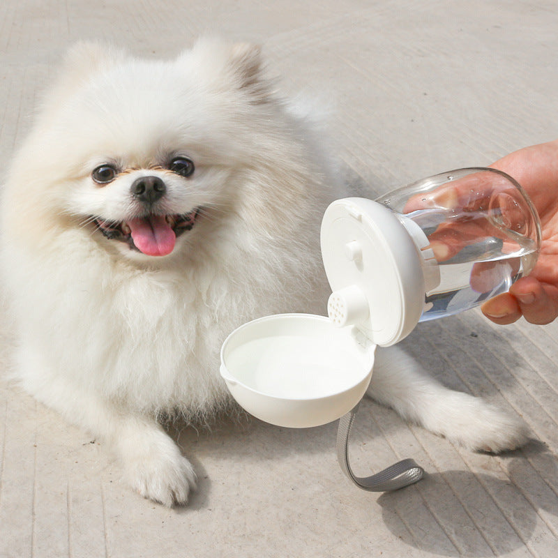 Foldable Portable Pet Cat & Dog Outdoor Drinking Glass