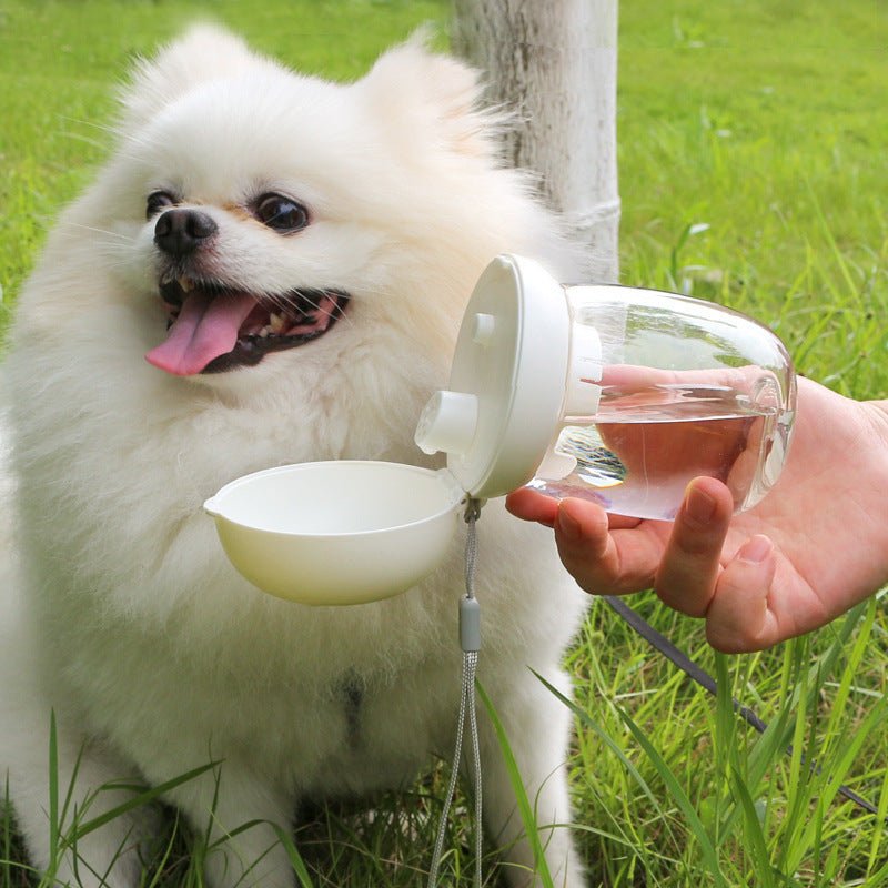 Foldable Portable Pet Cat & Dog Outdoor Drinking Glass