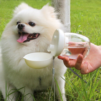 Foldable Portable Pet Cat & Dog Outdoor Drinking Glass